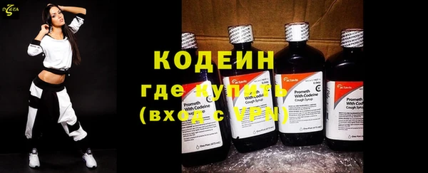 индика Волоколамск