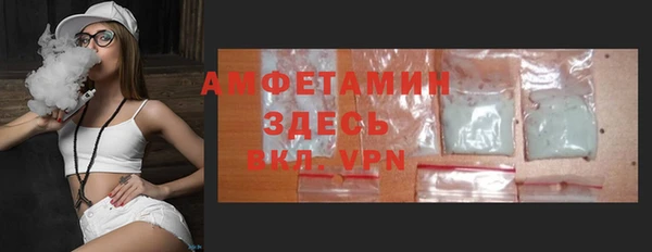индика Волоколамск