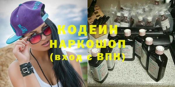 индика Волоколамск