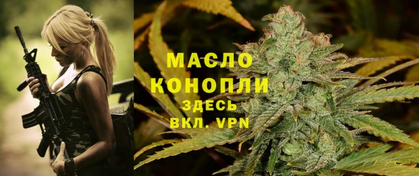 индика Волоколамск
