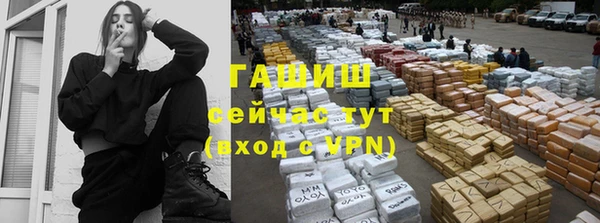 индика Волоколамск